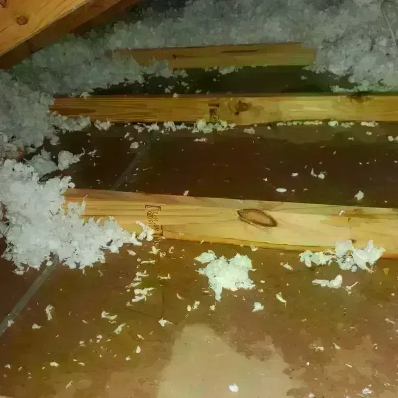 Attic Water Damage in East Haven, CT